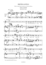 Load image into Gallery viewer, Mozart: The Abduction from the Seraglio K. 384