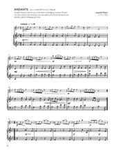 Load image into Gallery viewer, Flute All Sorts Grades 1-3