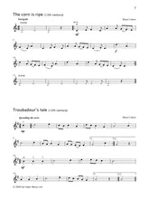 Load image into Gallery viewer, Bags Of Style for Violin