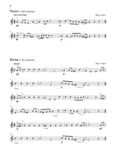 Load image into Gallery viewer, Bags Of Style for Violin