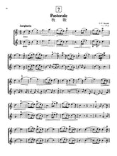 Load image into Gallery viewer, Home Concert (Revised)