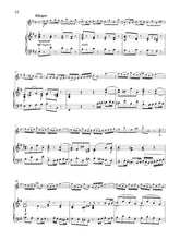 Load image into Gallery viewer, THE FLUTE COLLECTION – INTERMEDIATE TO ADVANCED LEVEL