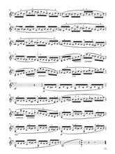 Load image into Gallery viewer, 80 Graded Studies for Violin Book 2