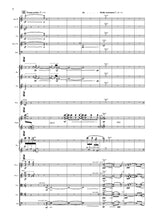 Load image into Gallery viewer, ...through the glass (Chamber Ensemble)