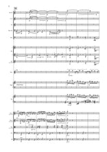 Load image into Gallery viewer, ...through the glass (Chamber Ensemble)