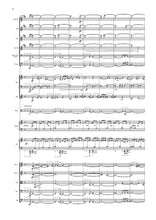 Load image into Gallery viewer, ...through the glass (Chamber Ensemble)